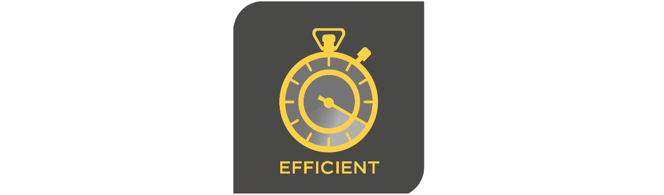 efficient logo Efficient